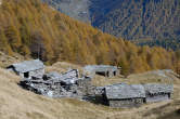 20091028_133156 Colvedro.jpg